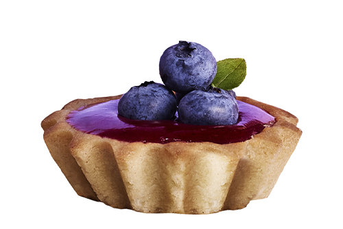 blooming-blueberry-ing